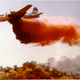 Illustration for article titled The Comprehensive Flight Club Guide To Damn Near Every Firefighting Aircraft